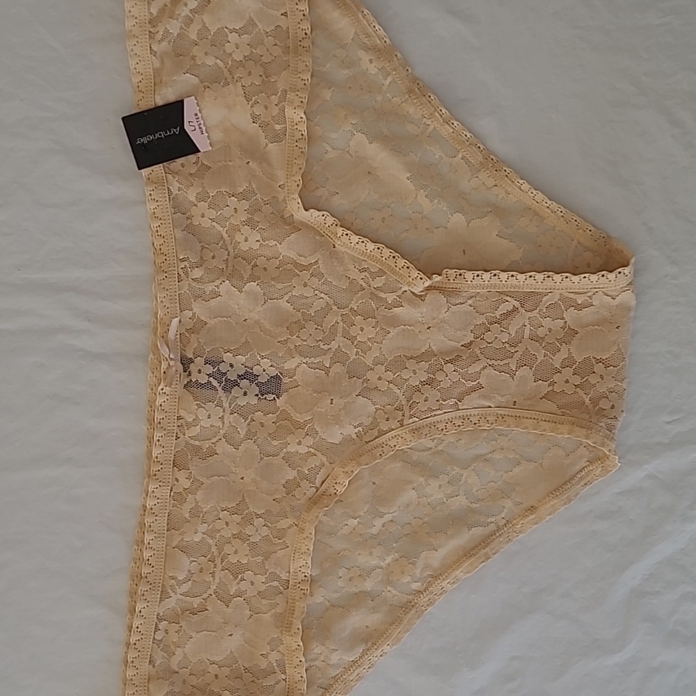Ambrielle NUDE Floral Lace Hipster Panties